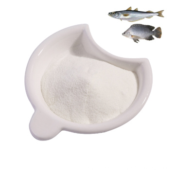 Factory Price 99% Marine Fish Collagen Protein Peptides